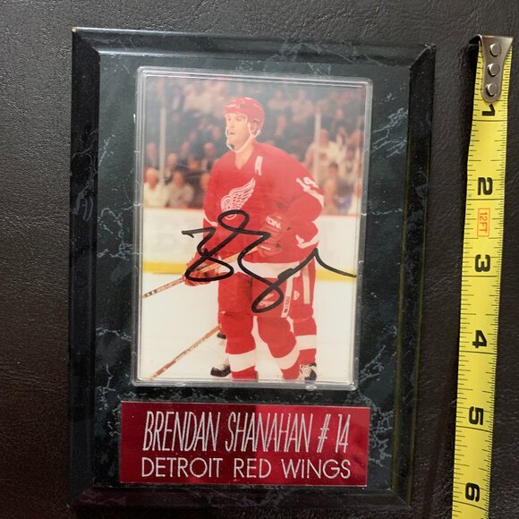 detroit red wings framed